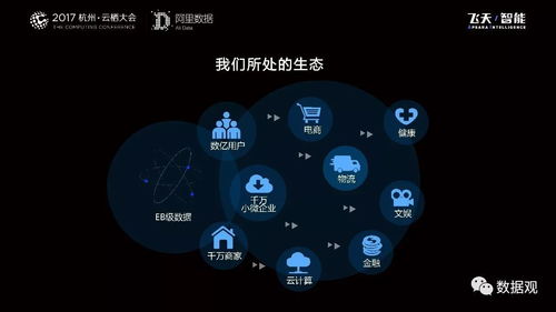 阿里數(shù)據(jù)服務(wù)產(chǎn)品開發(fā)與大數(shù)據(jù)體系演進(jìn) 從平臺(tái)構(gòu)建到智能服務(wù)